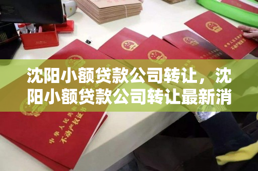 沈阳小额贷款公司转让,沈阳小额贷款公司转让最新消息 沈阳小额贷款公司转让,沈阳小额贷款公司转让最新消息