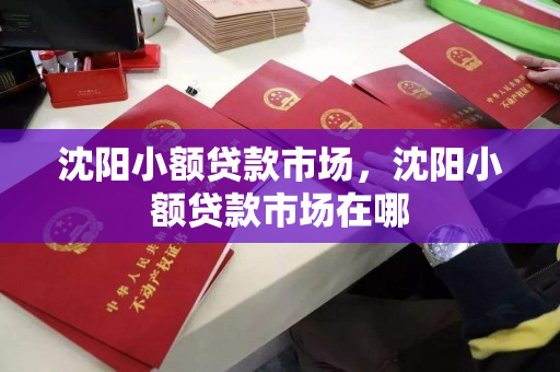 沈阳小额贷款市场,沈阳小额贷款市场在哪 沈阳小额贷款市场,沈阳小额贷款市场在哪