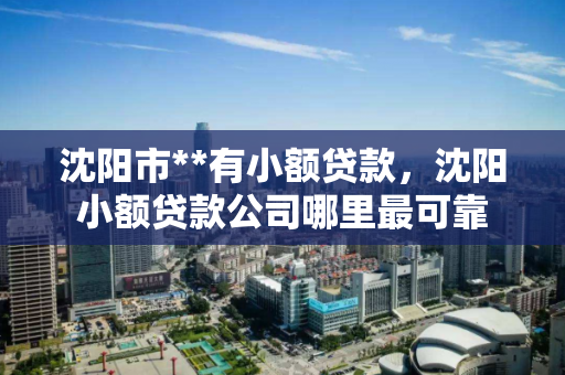 沈阳市**有小额贷款，沈阳小额贷款公司哪里最可靠