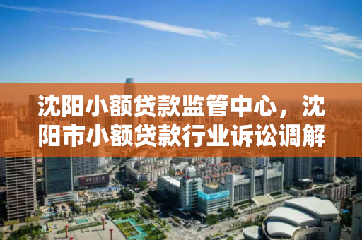 沈阳小额贷款监管中心，沈阳市小额贷款行业诉讼调解中心