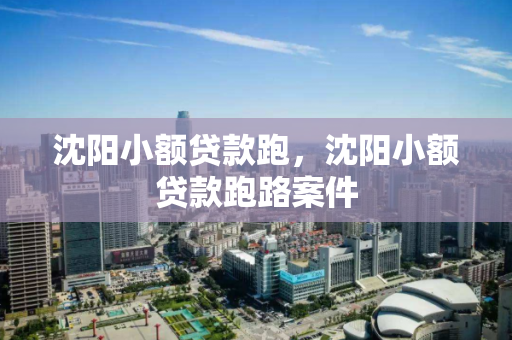 沈阳小额贷款跑,沈阳小额贷款跑路案件 沈阳小额贷款跑,沈阳小额贷款跑路案件