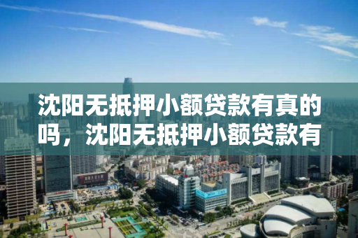沈阳无抵押小额贷款有真的吗,沈阳无抵押小额贷款有真的吗安全吗 沈阳无抵押小额贷款有真的吗,沈阳无抵押小额贷款有真的吗安全吗
