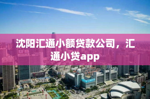 沈阳汇通小额贷款公司,汇通小贷app 沈阳汇通小额贷款公司,汇通小贷app