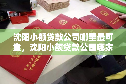 沈阳小额贷款公司哪里最可靠,沈阳小额贷款公司哪家好 沈阳小额贷款公司哪里最可靠,沈阳小额贷款公司哪家好