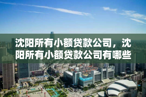沈阳所有小额贷款公司，沈阳所有小额贷款公司有哪些