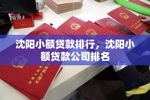 沈阳小额贷款排行，沈阳小额贷款公司排名