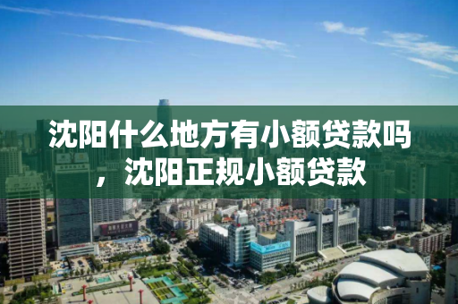 沈阳什么地方有小额贷款吗，沈阳正规小额贷款