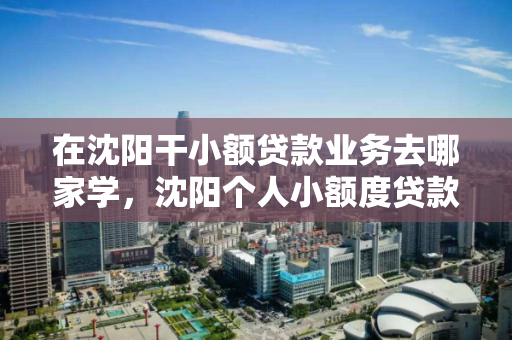 在沈阳干小额贷款业务去哪家学，沈阳个人小额度贷款公司电话