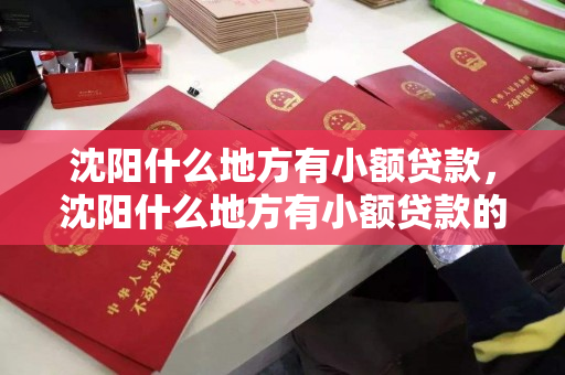 沈阳什么地方有小额贷款,沈阳什么地方有小额贷款的 沈阳什么地方有小额贷款,沈阳什么地方有小额贷款的