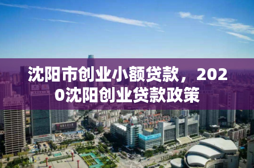 沈阳市创业小额贷款，2020沈阳创业贷款政策