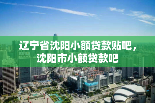 辽宁省沈阳小额贷款贴吧，沈阳市小额贷款吧