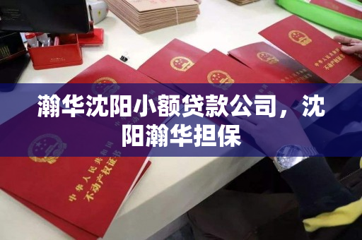 瀚华沈阳小额贷款公司，沈阳瀚华担保