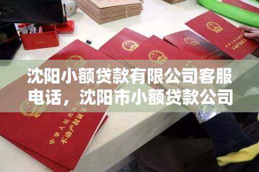 沈阳小额贷款有限公司客服电话,沈阳市小额贷款公司 沈阳小额贷款有限公司客服电话,沈阳市小额贷款公司