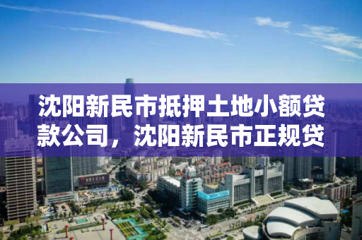 沈阳新民市抵押土地小额贷款公司，沈阳新民市正规贷款