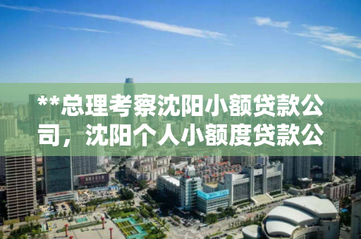 **总理考察沈阳小额贷款公司,沈阳个人小额度贷款公司电话 **总理考察沈阳小额贷款公司,沈阳个人小额度贷款公司电话