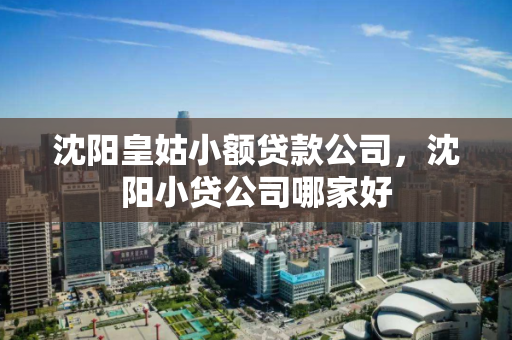 沈阳皇姑小额贷款公司，沈阳小贷公司哪家好
