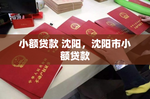 小额贷款 沈阳，沈阳市小额贷款