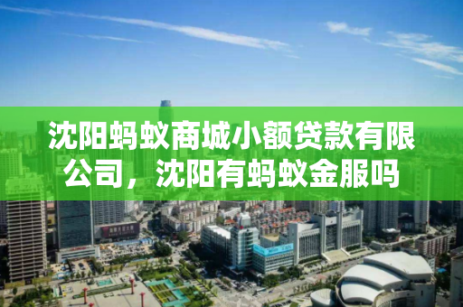 沈阳蚂蚁商城小额贷款有限公司,沈阳有蚂蚁金服吗 沈阳蚂蚁商城小额贷款有限公司,沈阳有蚂蚁金服吗