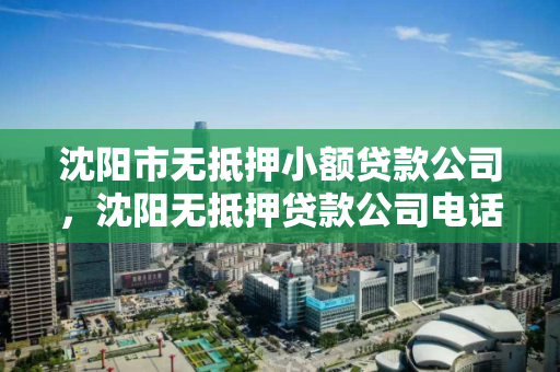 沈阳市无抵押小额贷款公司,沈阳无抵押贷款公司电话 沈阳市无抵押小额贷款公司,沈阳无抵押贷款公司电话