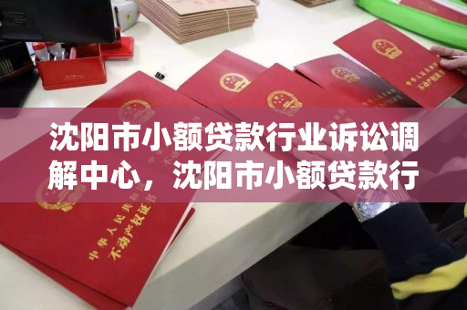 沈阳市小额贷款行业诉讼调解中心,沈阳市小额贷款行业诉讼调解中心官网 沈阳市小额贷款行业诉讼调解中心,沈阳市小额贷款行业诉讼调解中心官网