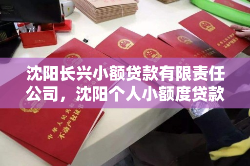 沈阳长兴小额贷款有限责任公司，沈阳个人小额度贷款公司电话