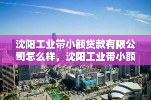 沈阳工业带小额贷款有限公司怎么样，沈阳工业带小额贷款有限公司怎么样啊