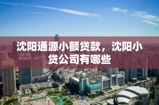 沈阳通源小额贷款,沈阳小贷公司有哪些 沈阳通源小额贷款,沈阳小贷公司有哪些