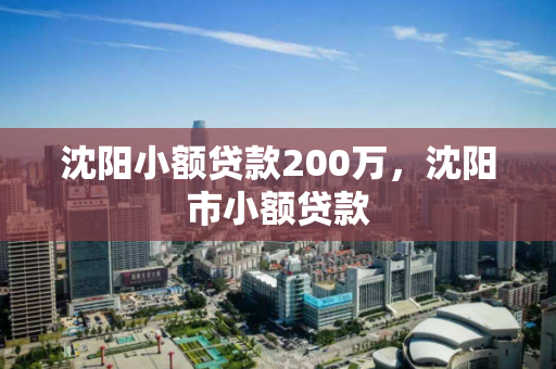 沈阳小额贷款200万,沈阳市小额贷款 沈阳小额贷款200万,沈阳市小额贷款
