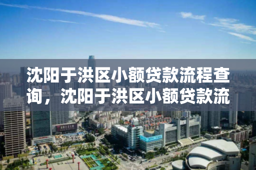 沈阳于洪区小额贷款流程查询，沈阳于洪区小额贷款流程查询