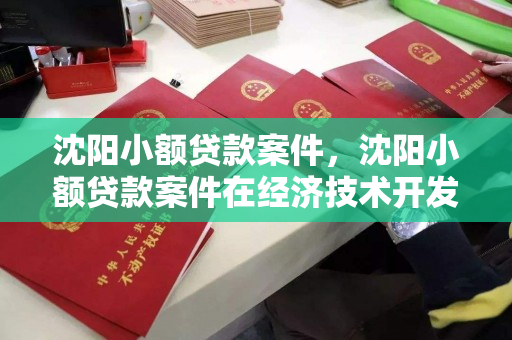 沈阳小额贷款案件，沈阳小额贷款案件在经济技术开发区管辖吗