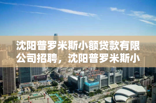 沈阳普罗米斯小额贷款有限公司招聘，沈阳普罗米斯小额贷款有限公司招聘