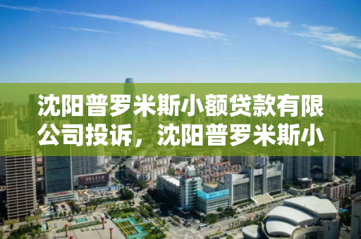 沈阳普罗米斯小额贷款有限公司投诉，沈阳普罗米斯小额贷款有限公司投诉热线