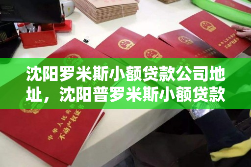 沈阳罗米斯小额贷款公司地址，沈阳普罗米斯小额贷款公司