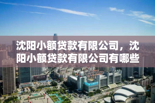 沈阳小额贷款有限公司，沈阳小额贷款有限公司有哪些