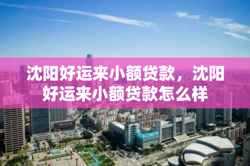 沈阳好运来小额贷款，沈阳好运来小额贷款怎么样