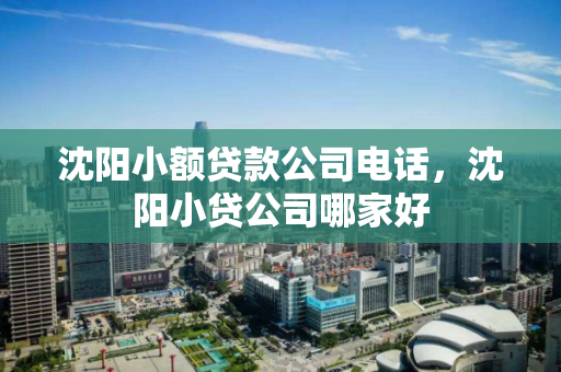 沈阳小额贷款公司电话，沈阳小贷公司哪家好