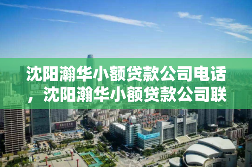 沈阳瀚华小额贷款公司电话，沈阳瀚华小额贷款公司联系方式