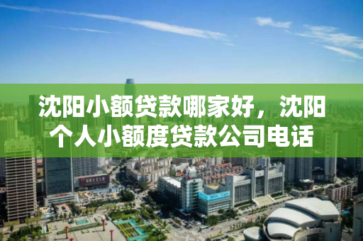沈阳小额贷款哪家好，沈阳个人小额度贷款公司电话