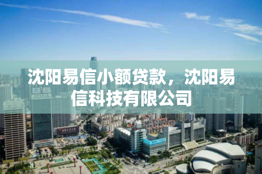 沈阳易信小额贷款，沈阳易信科技有限公司