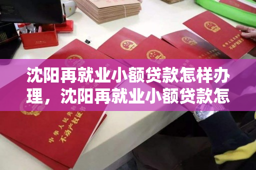 沈阳再就业小额贷款怎样办理，沈阳再就业小额贷款怎样办理的