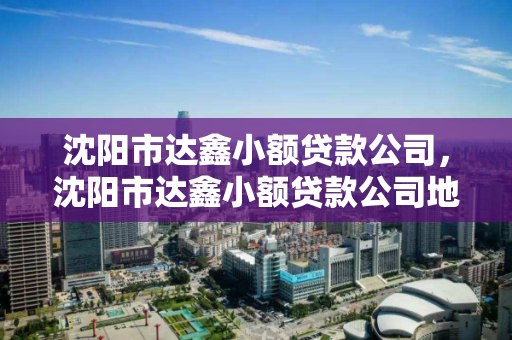 沈阳市达鑫小额贷款公司，沈阳市达鑫小额贷款公司地址