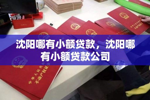 沈阳哪有小额贷款，沈阳哪有小额贷款公司