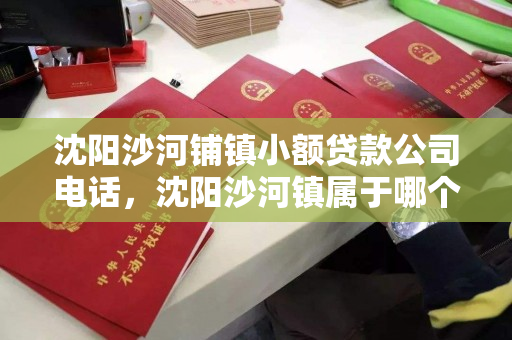 沈阳沙河铺镇小额贷款公司电话，沈阳沙河镇属于哪个区