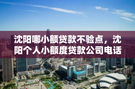 沈阳哪小额贷款不验点，沈阳个人小额度贷款公司电话