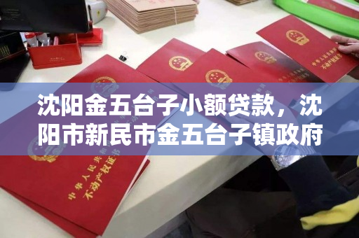 沈阳金五台子小额贷款，沈阳市新民市金五台子镇政府