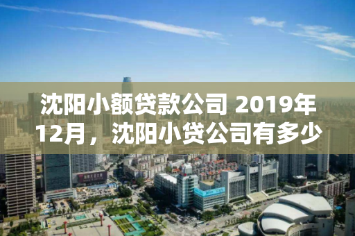 沈阳小额贷款公司 2019年12月，沈阳小贷公司有多少家