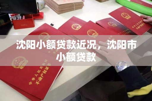 沈阳小额贷款近况，沈阳市小额贷款