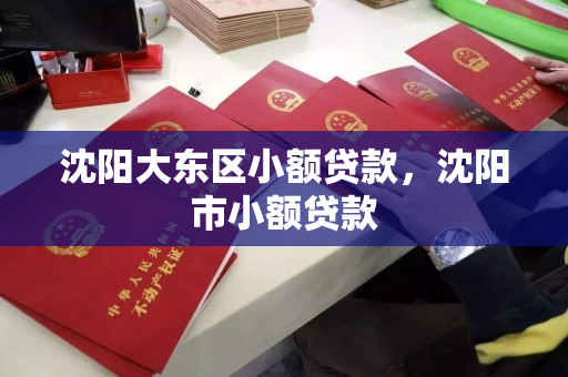 沈阳大东区小额贷款，沈阳市小额贷款