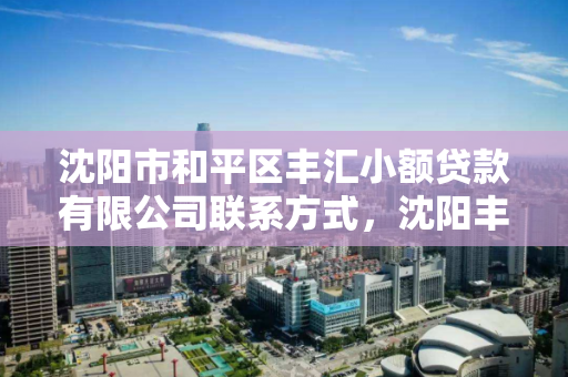 沈阳市和平区丰汇小额贷款有限公司联系方式，沈阳丰汇置业有限公司