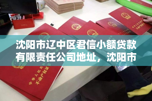 沈阳市辽中区君信小额贷款有限责任公司地址，沈阳市辽中区君信小额贷款有限责任公司地址